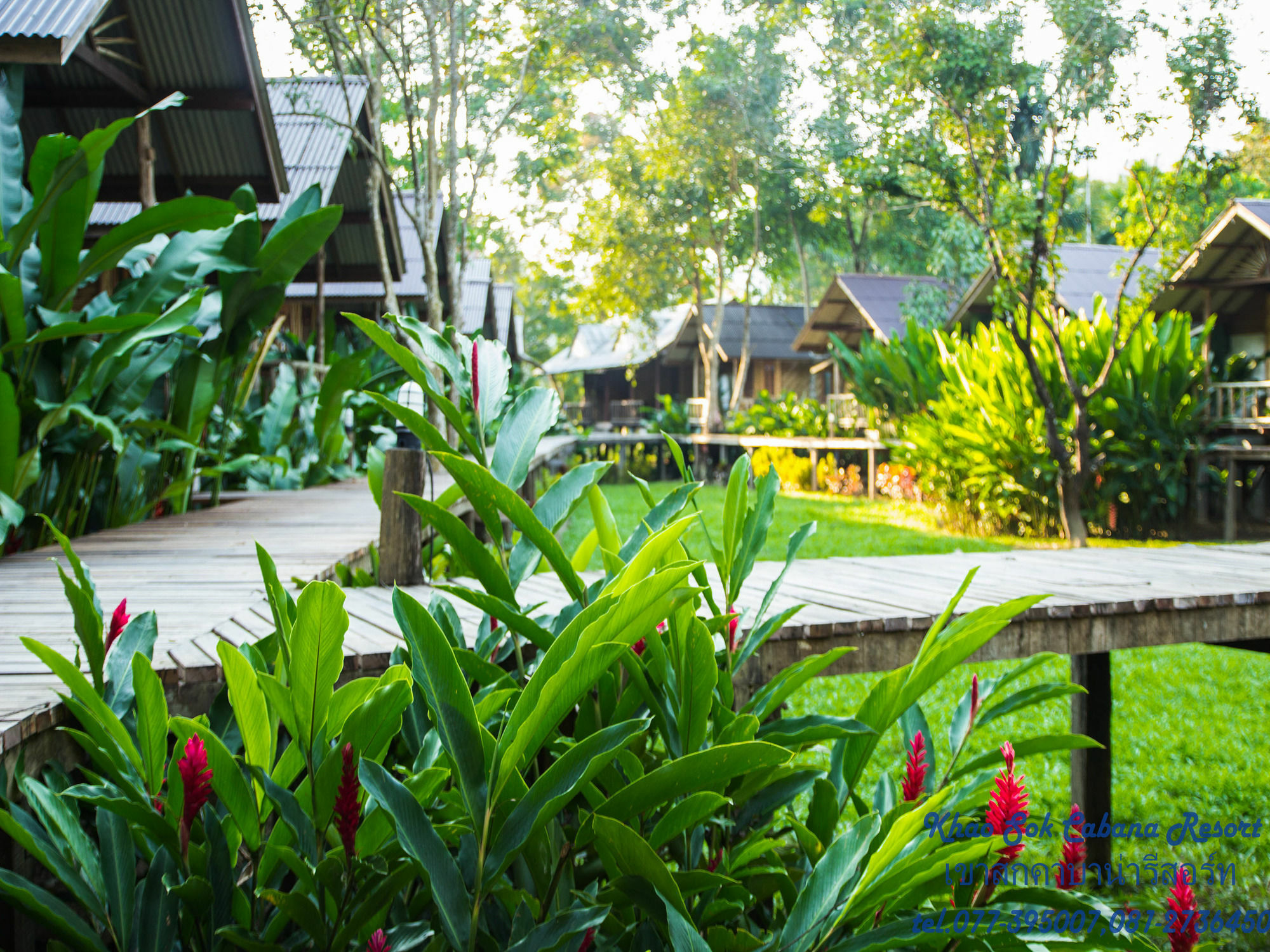Khao Sok Cabana Resort Khao Sok National Park Exterior photo