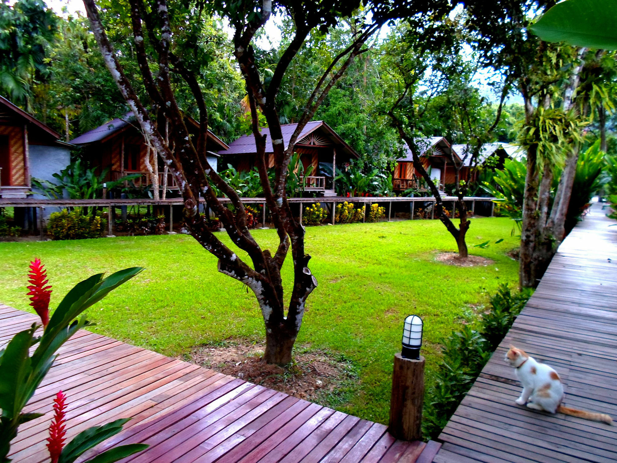 Khao Sok Cabana Resort Khao Sok National Park Exterior photo