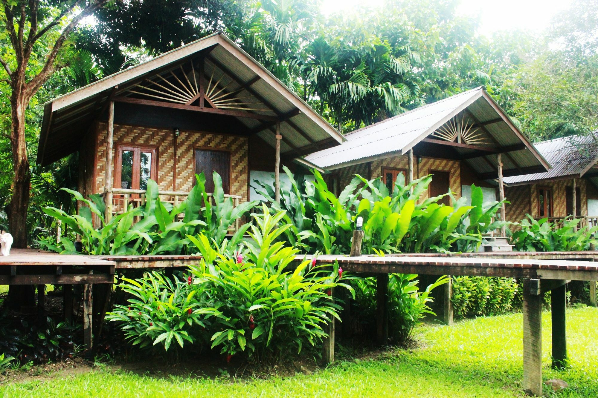 Khao Sok Cabana Resort Khao Sok National Park Exterior photo
